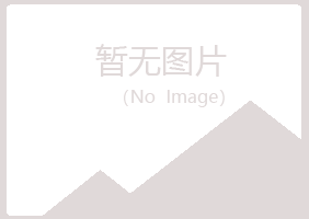 偃师秋烟会计有限公司